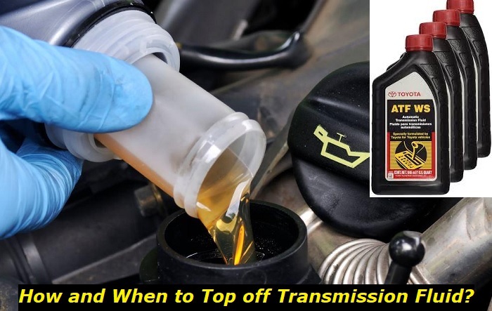 topping off transmission fluid-2